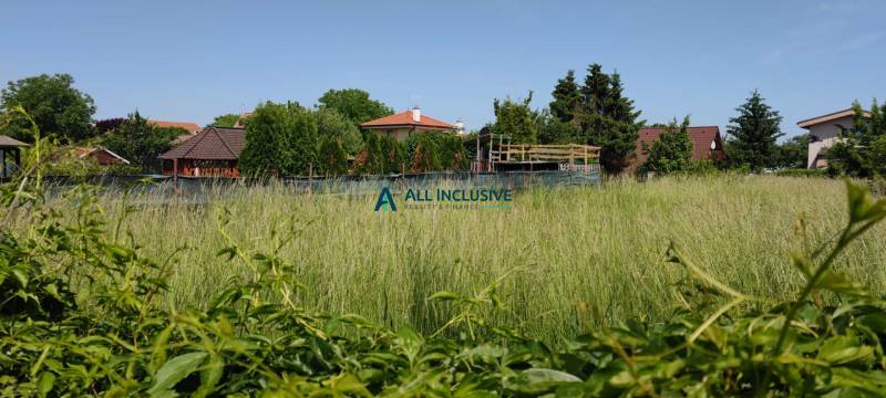 1685788622680 (002).jpg