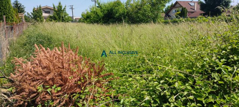 1685788606558 (002).jpg